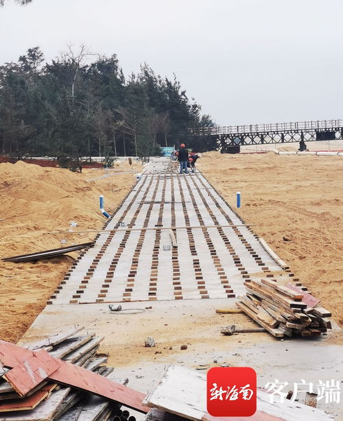 原創組圖 海口西海岸貫通更新工程最新進展 國際會展中心附近沿海新建路完成瀝青路面鋪設