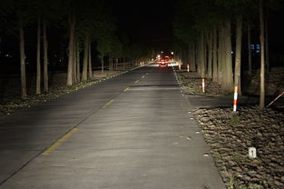 我市縣道公路路面自發光工程完工